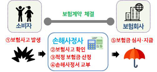 손해사정 과정/금융위원회 제공